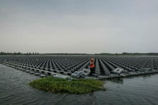 Un trabajador de Sungrow conecta paneles solares flotantes en un lago creado tras el derrumbe de minas de carbón abandonadas en Liulong, China. Credit Adam Dean para The New York Times